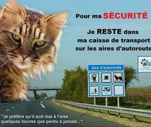 ‼️ SÉCURITÉ SUR LA ROUTE ‼️