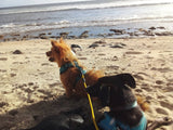 ÉBÈNE & LENNY