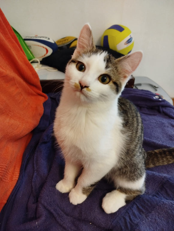 ROSE 🌹 3 MOIS RÉSERVÉE