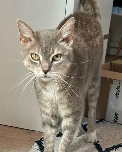 MINETTE ❤️ URGENT !!!